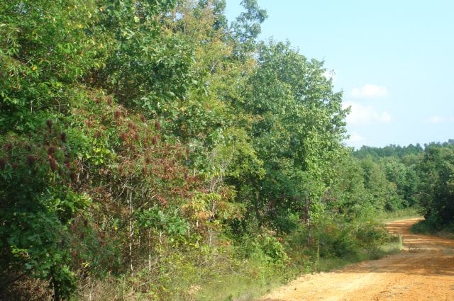 Sugartree Falls Tract 13 photo 1