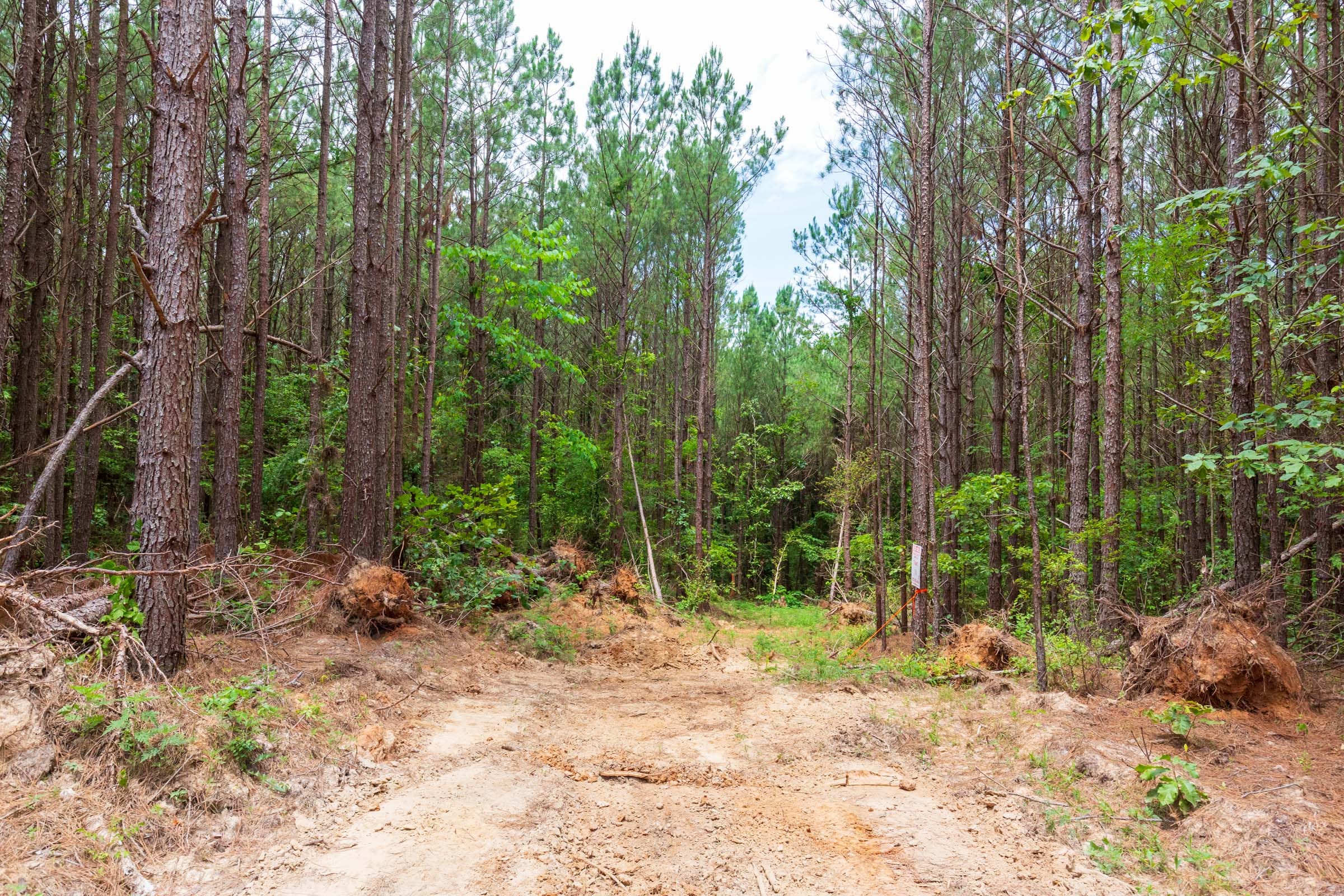 Whiskey Ridge Tract 100 photo 1