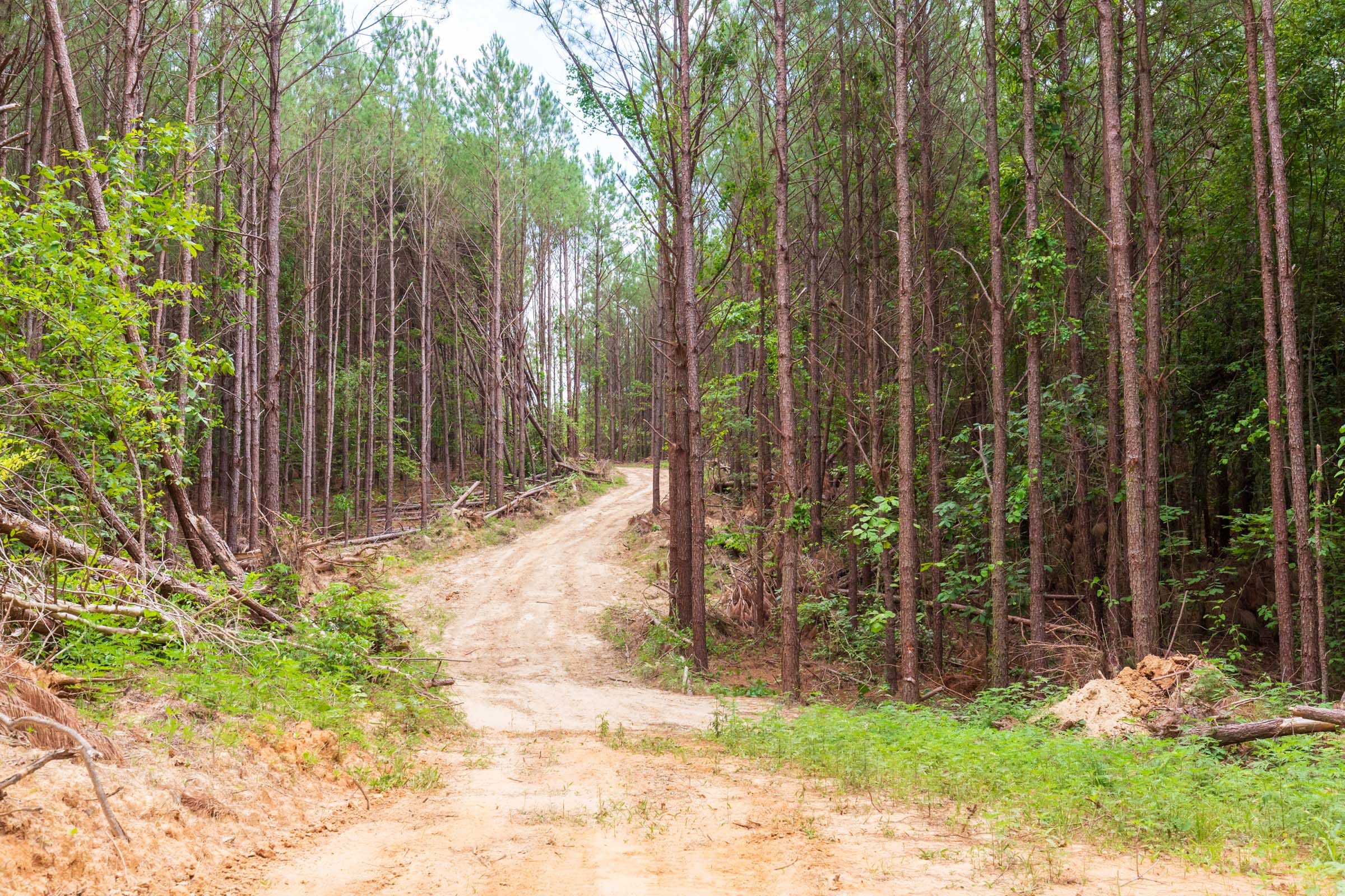 Whiskey Ridge Tract 100 photo 7