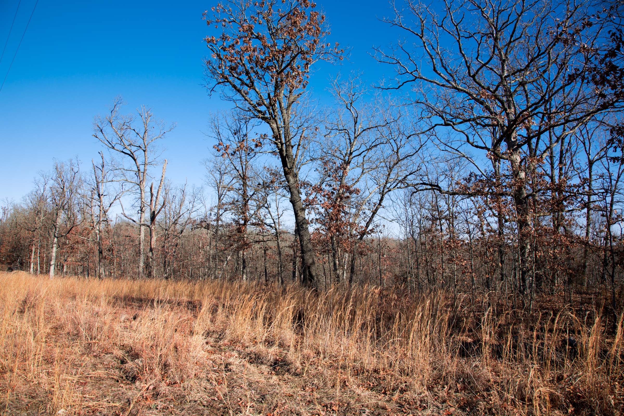 Buffalo Hills Tract 6 photo 3