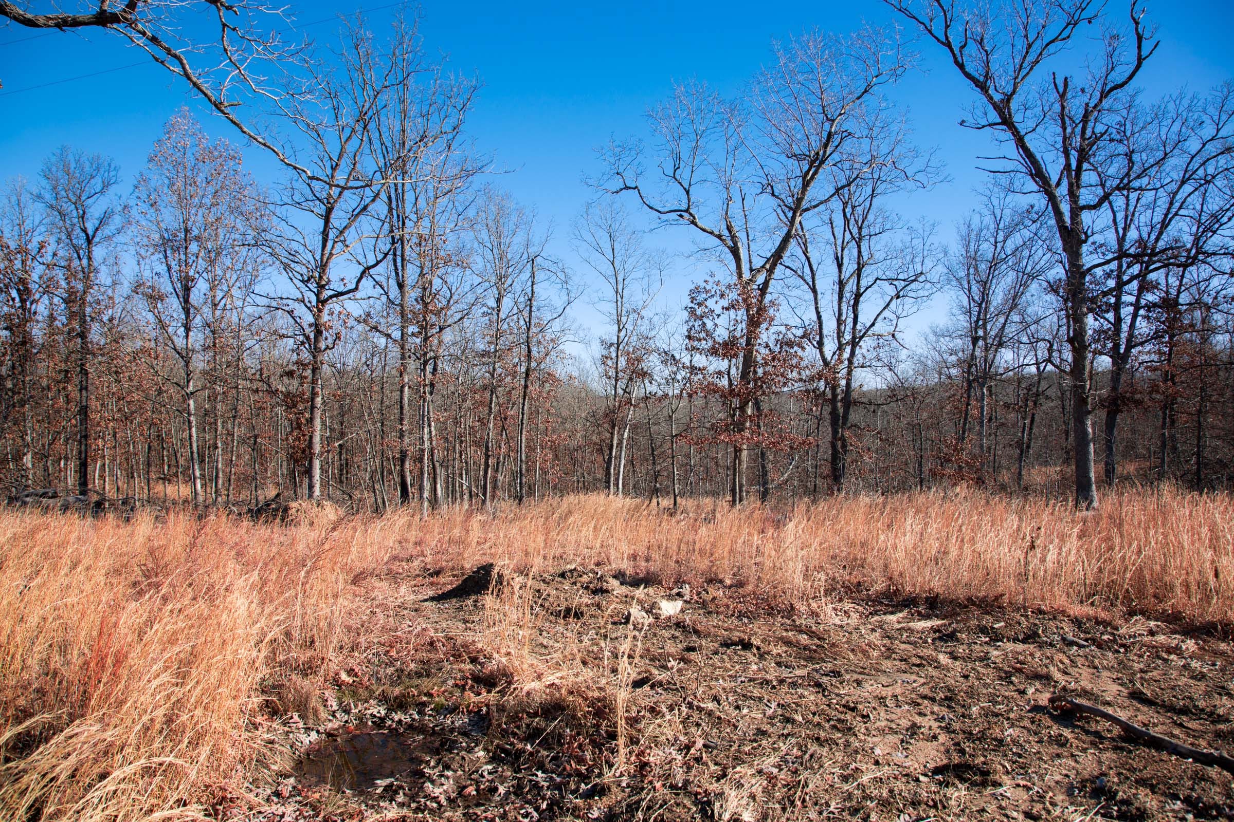 Buffalo Hills Tract 6 photo 4