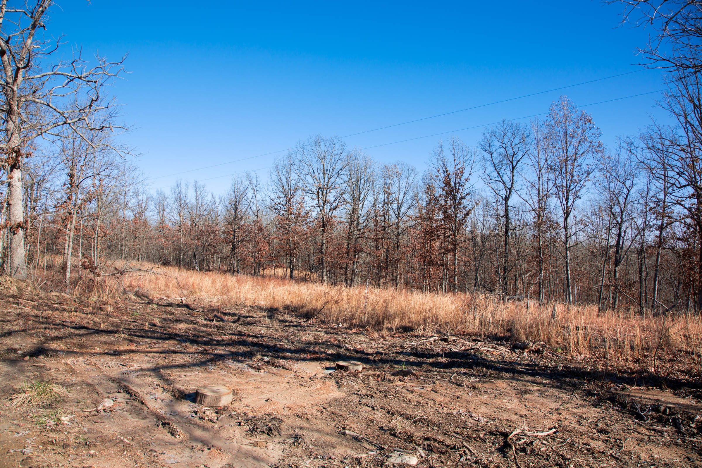 Buffalo Hills Tract 6 photo 6