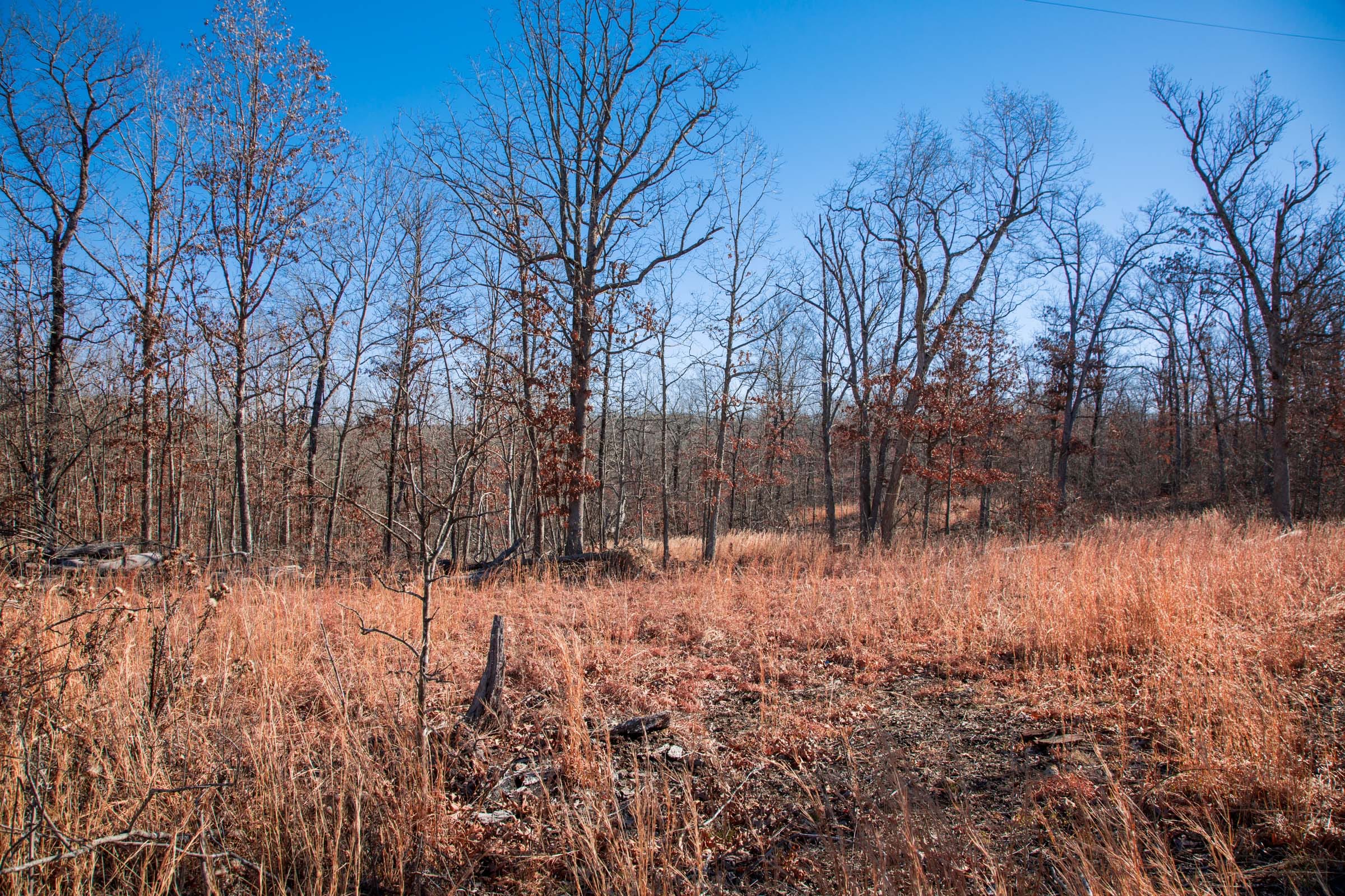 Buffalo Hills Tract 6 photo 7
