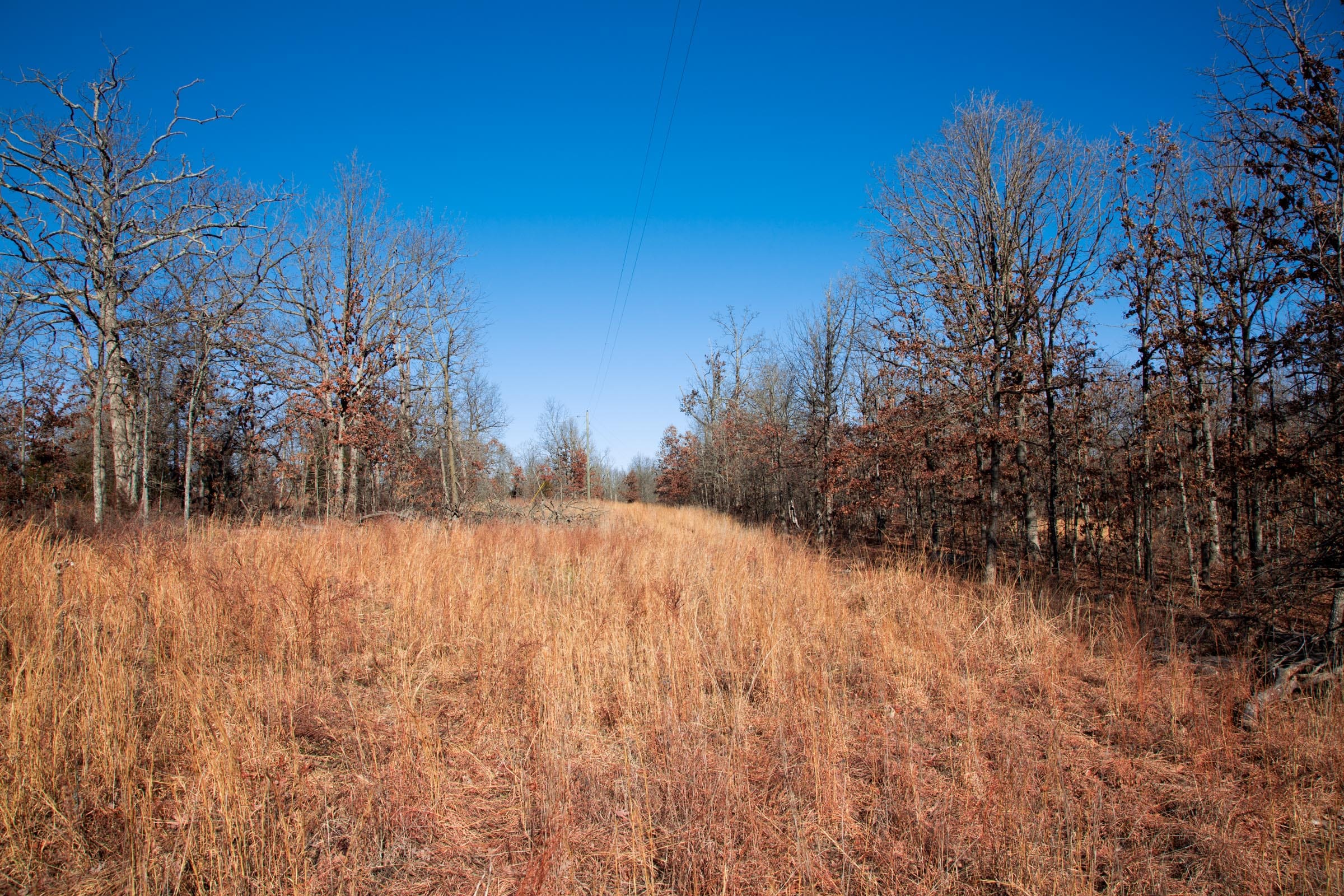 Buffalo Hills Tract 6 photo 8