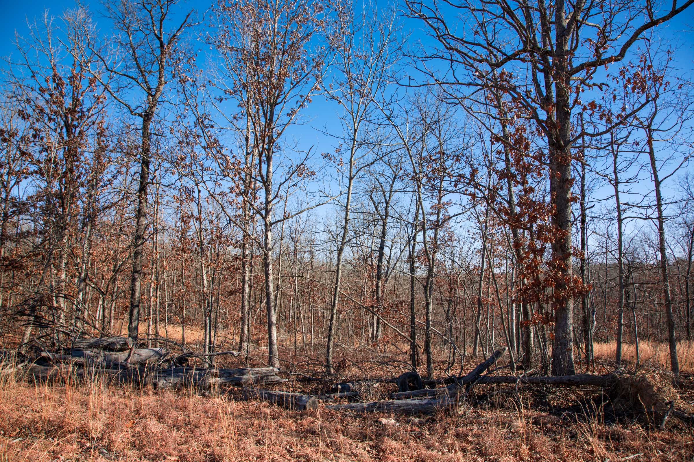 Buffalo Hills Tract 6 photo 9