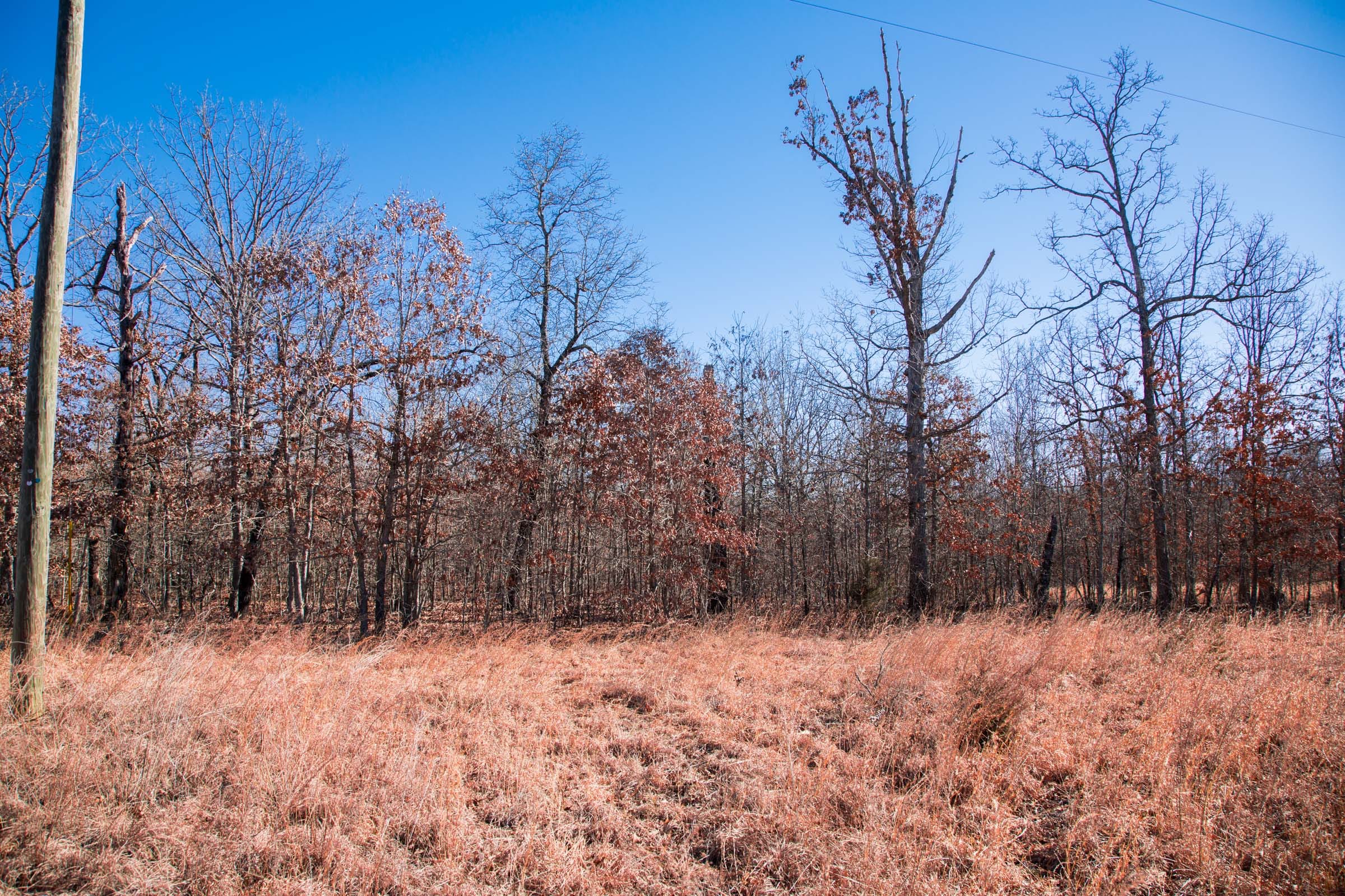 Buffalo Hills Tract 6 photo 11