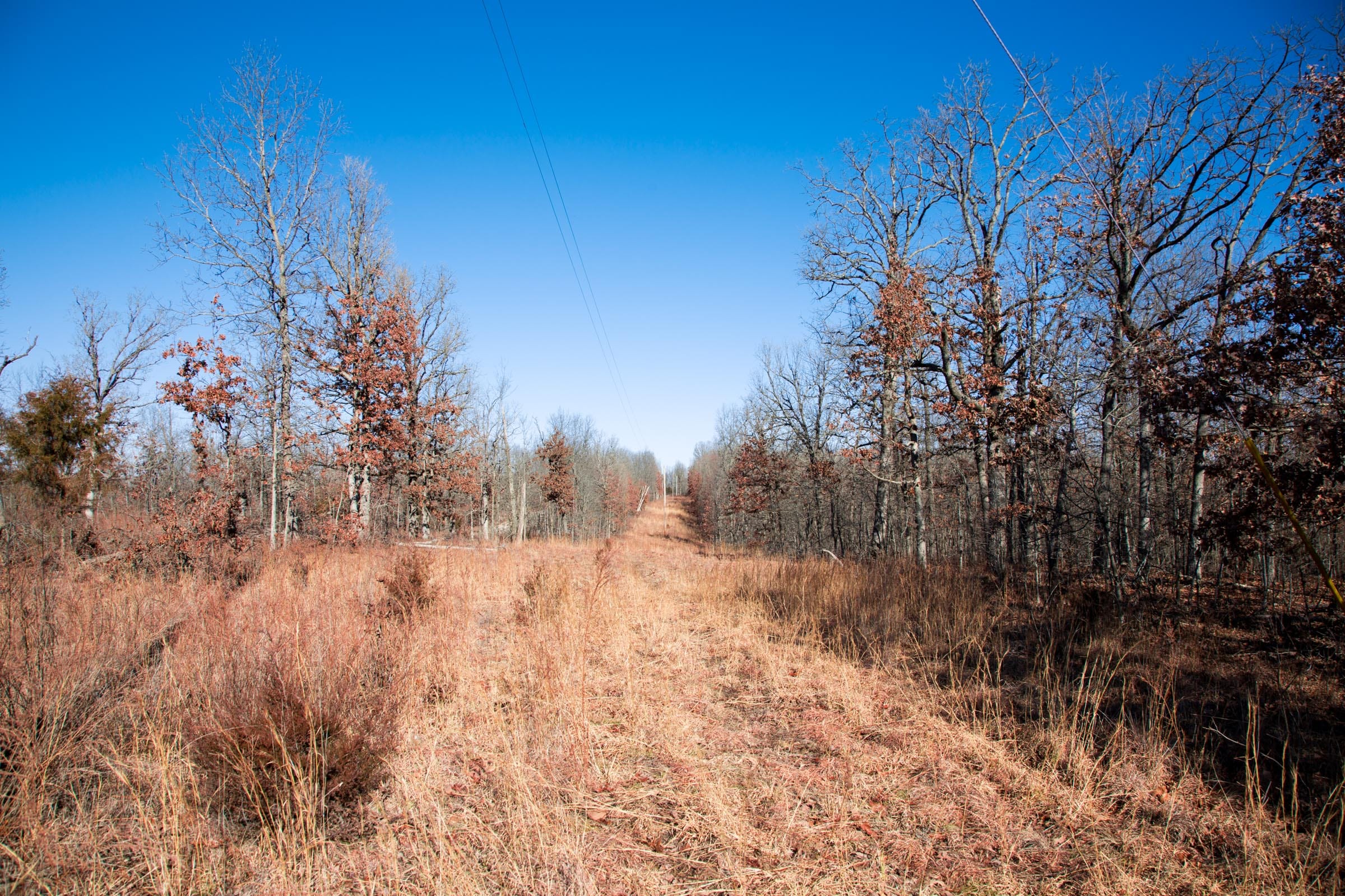 Buffalo Hills Tract 6 photo 12