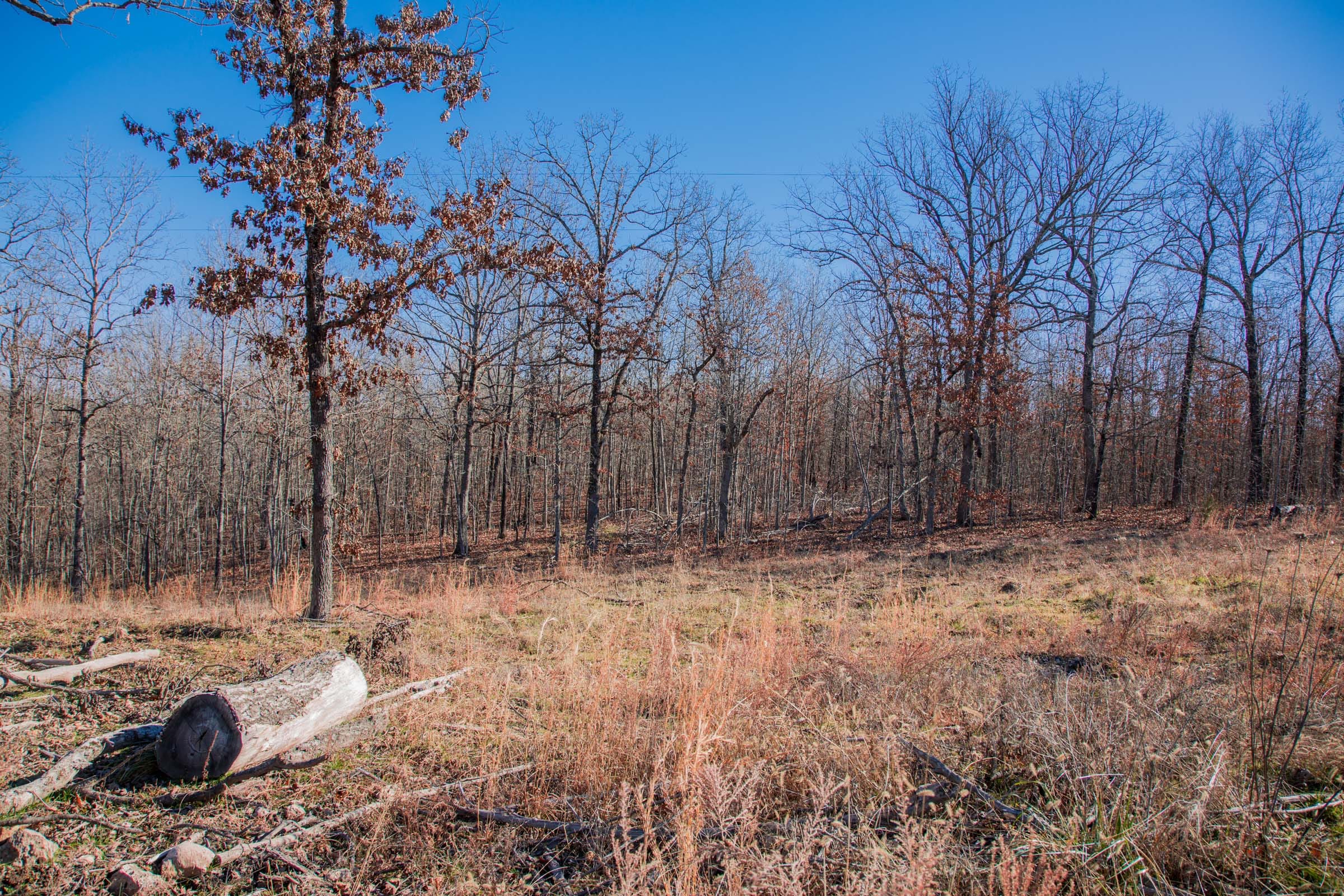 Buffalo Hills Tract 6 photo 14