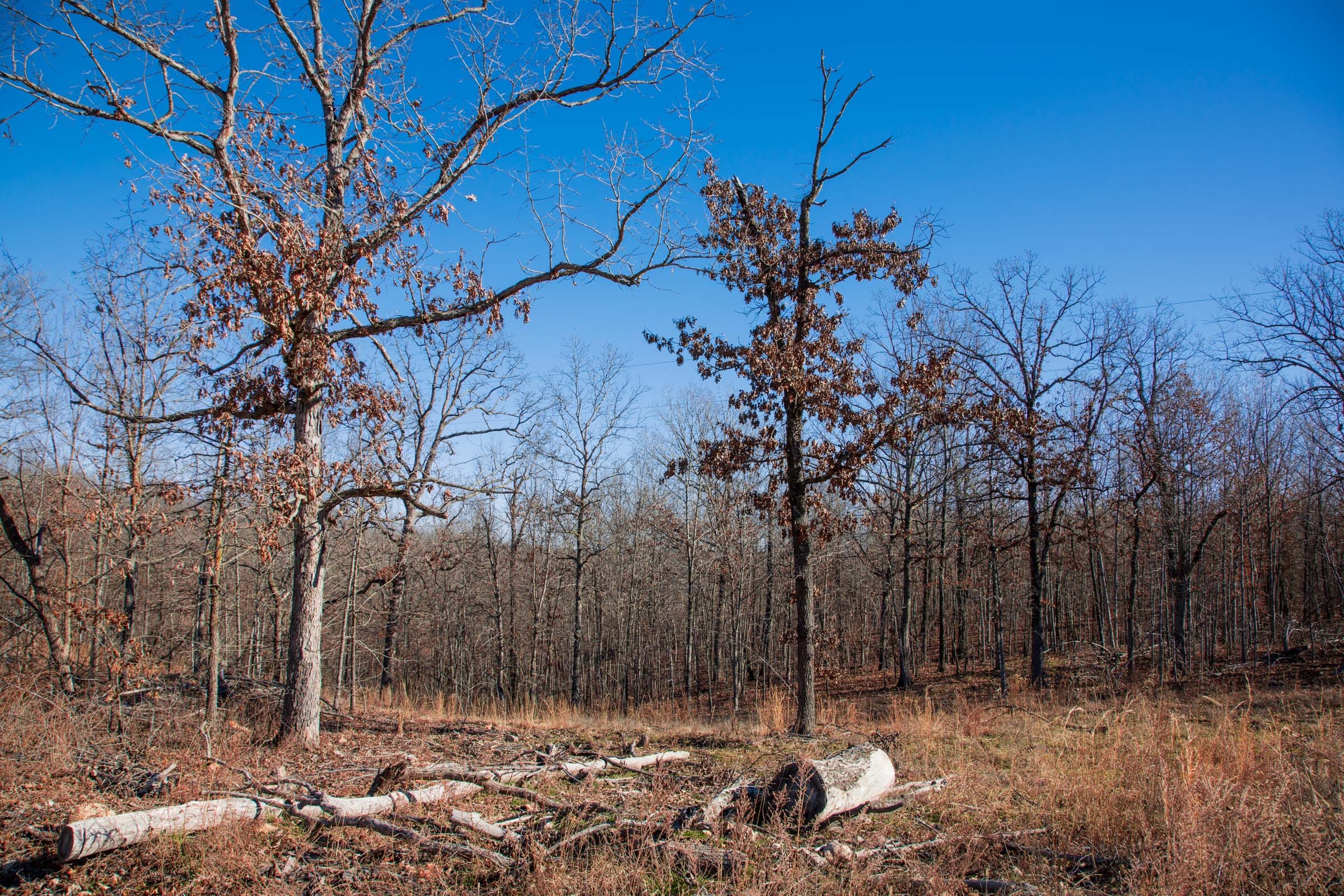 Buffalo Hills Tract 6 photo 15