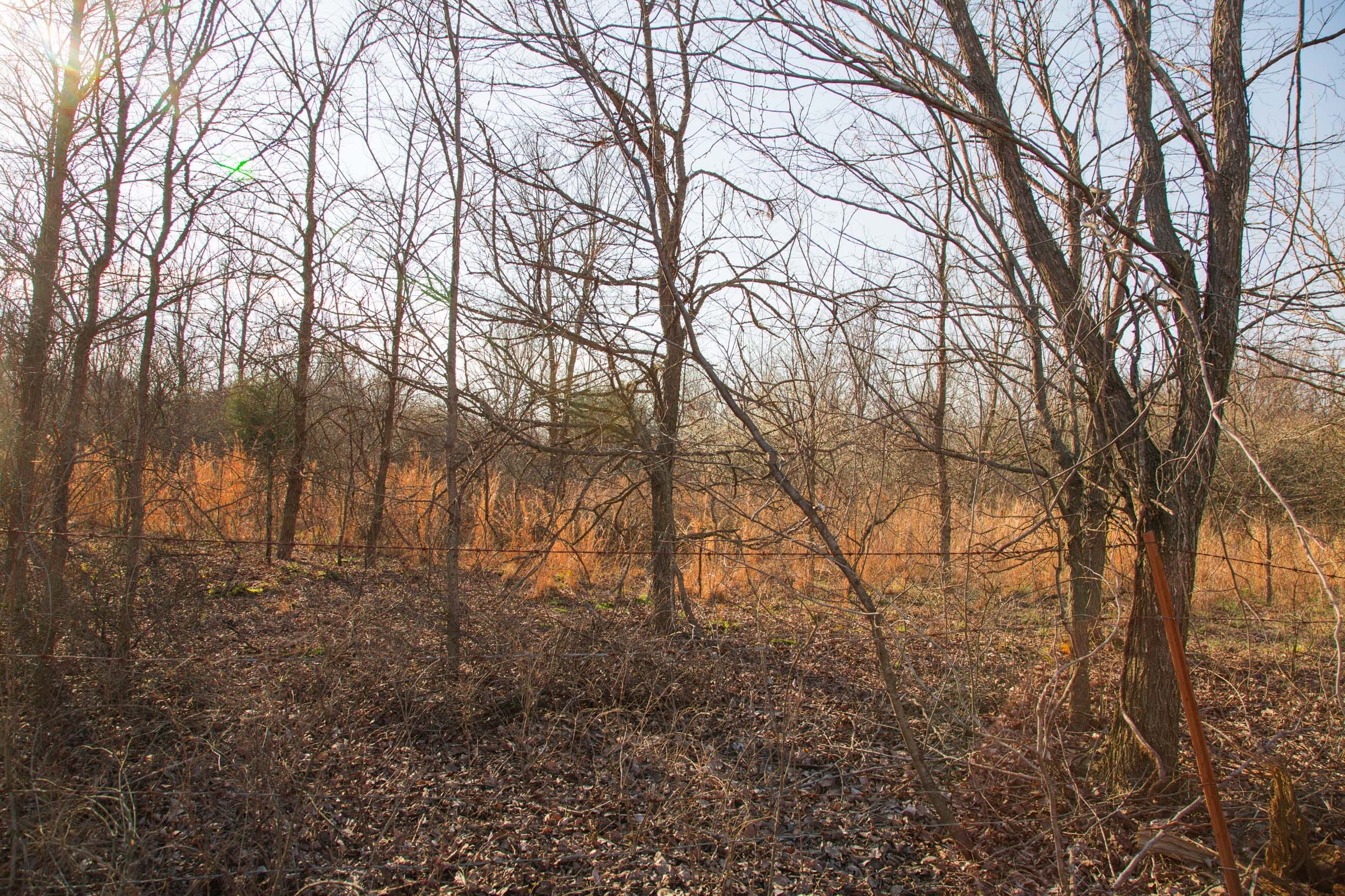 Eufaula Cove Tract 7 photo 6