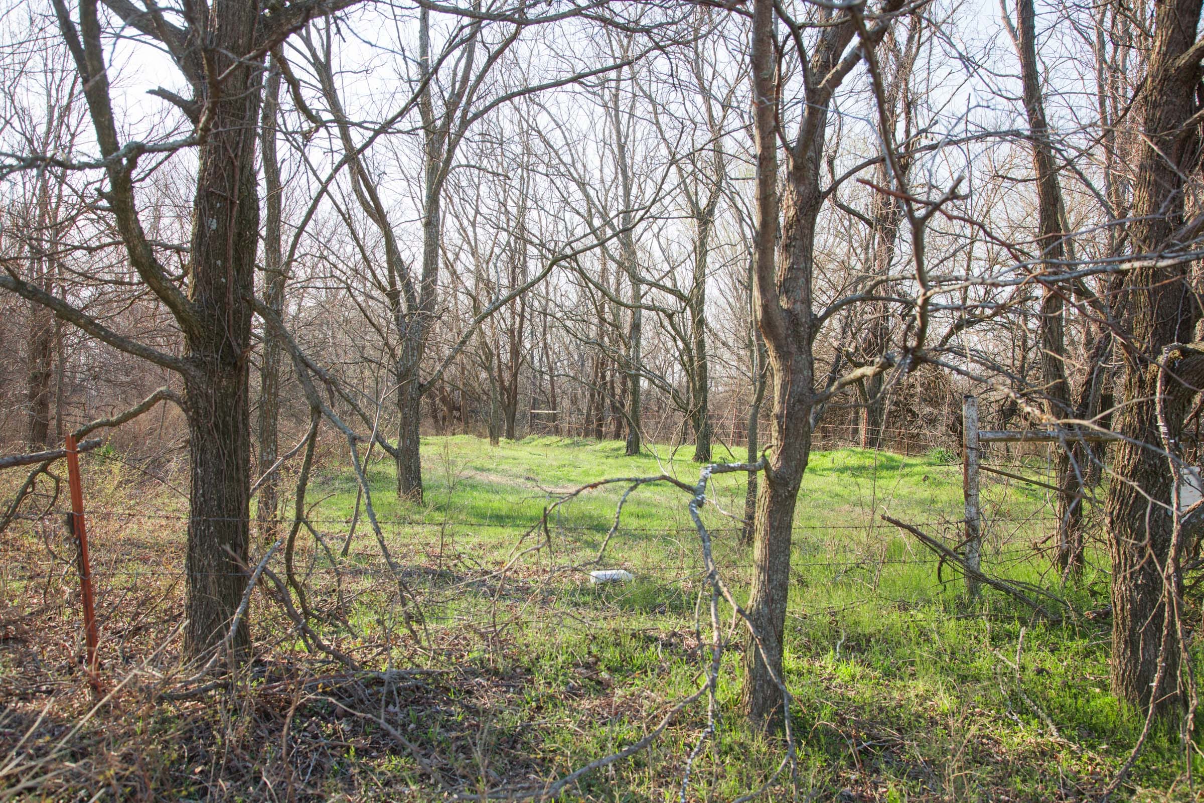 Eufaula Cove Tract 7 photo 10