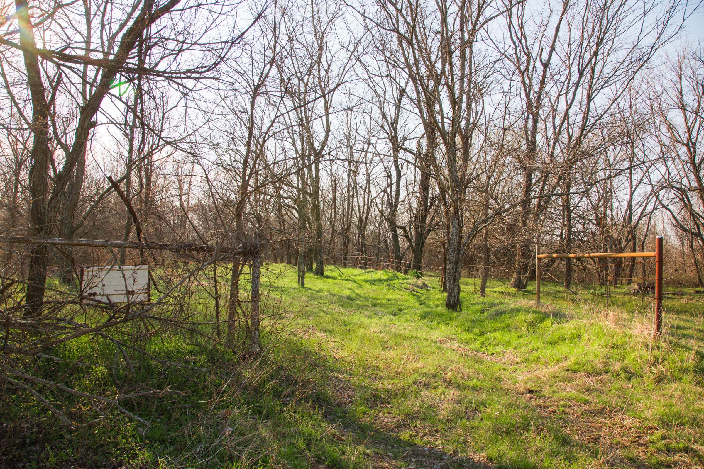 Eufaula Cove Tract 7 photo 11
