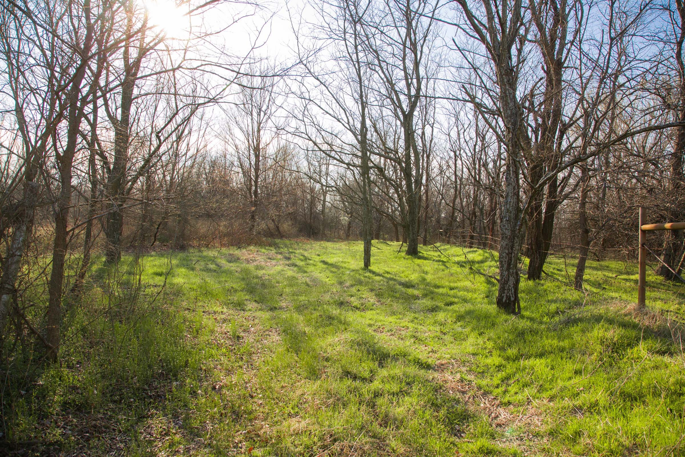 Eufaula Cove Tract 7 photo 12
