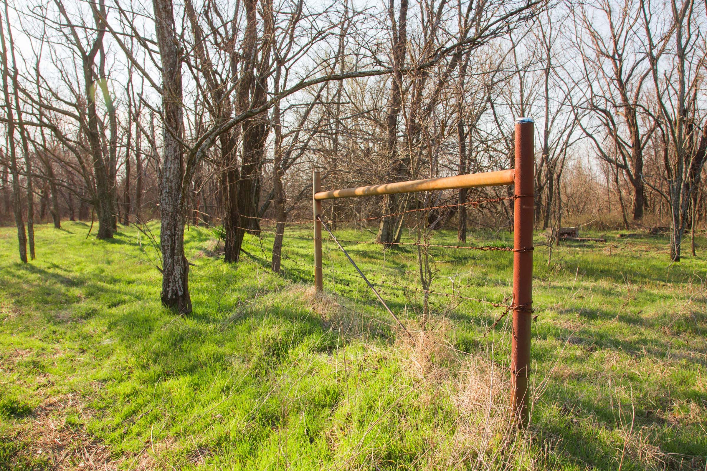 Eufaula Cove Tract 7 photo 13