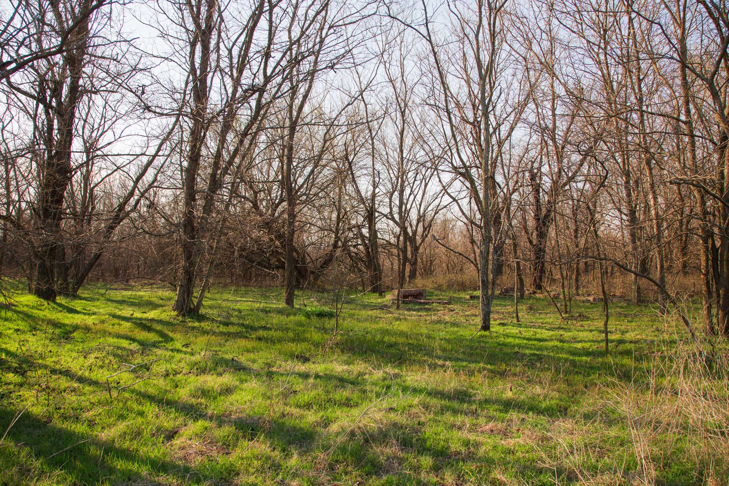 Eufaula Cove Tract 7 photo 14