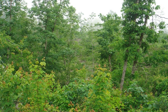 Deer Valley Tract 8 photo 2