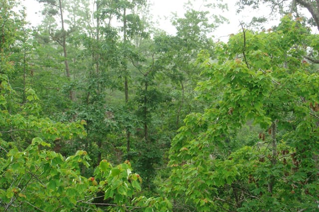 Deer Valley Tract 8 photo 3