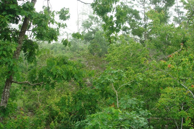 Deer Valley Tract 8 photo 4