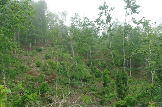 Deer Valley Tract 8 photo 5