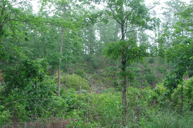 Deer Valley Tract 8 photo 8