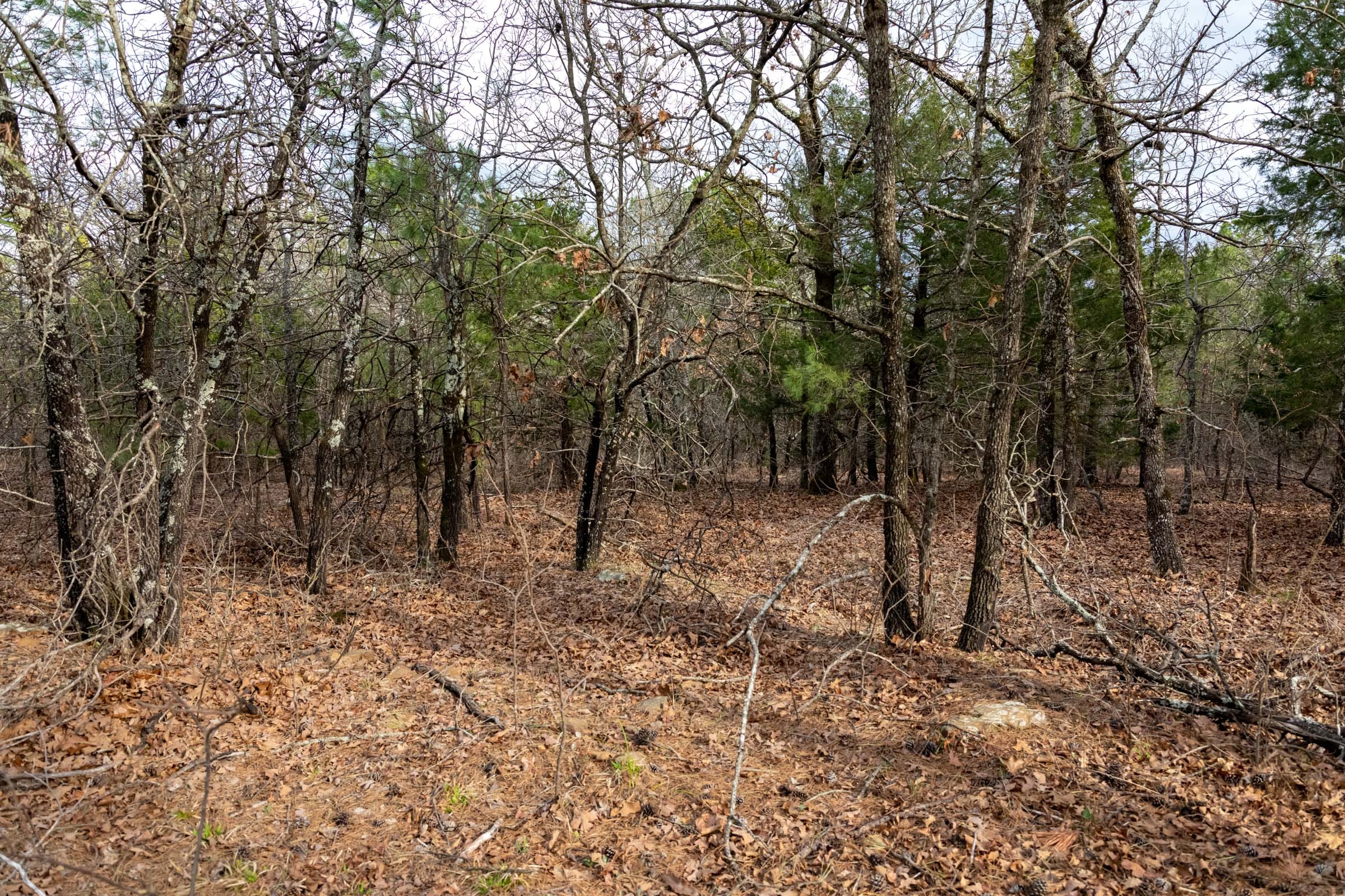 Stone Bridge Phase III Tract 180 photo 2