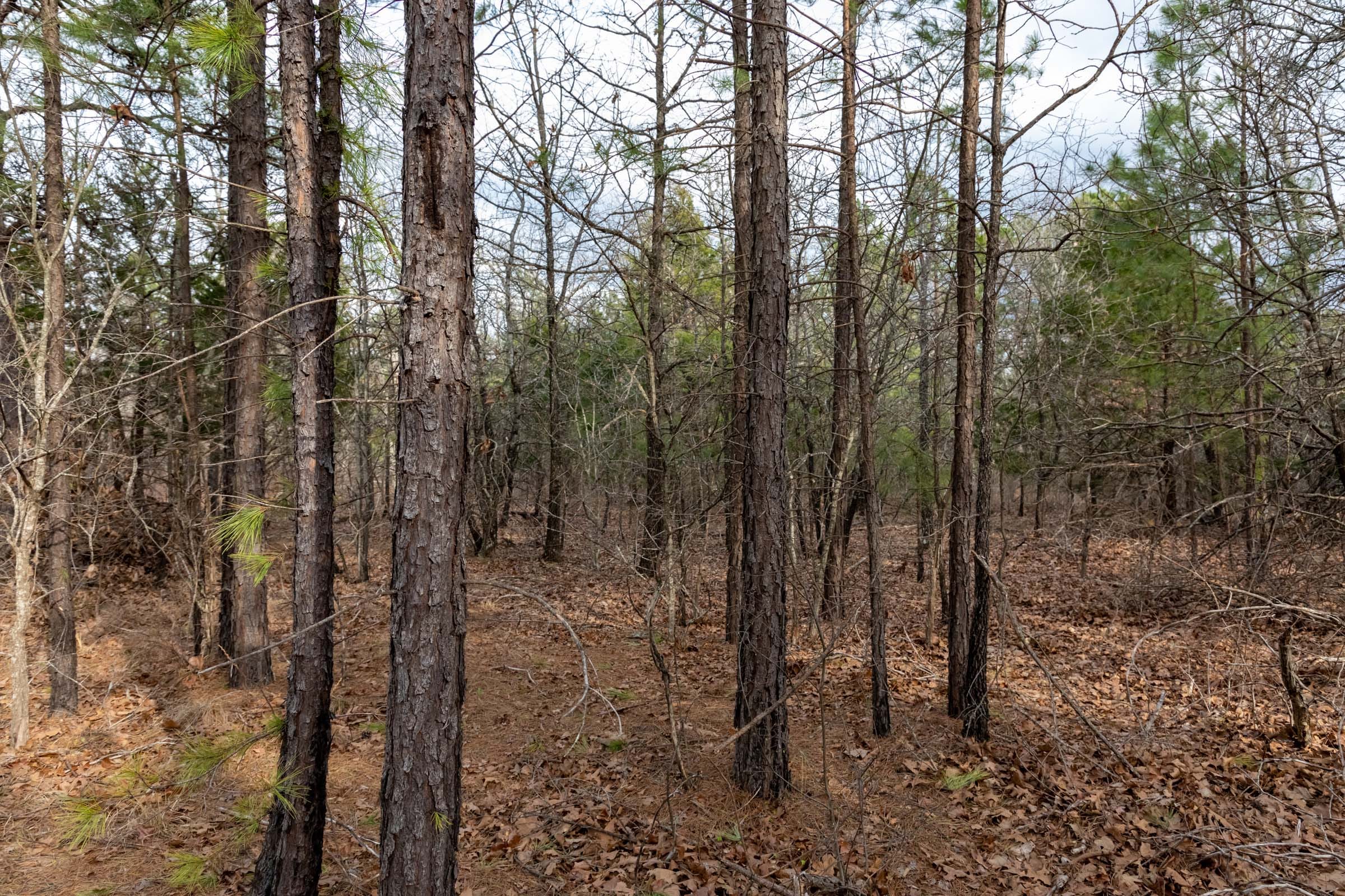 Stone Bridge Phase III Tract 180 photo 3