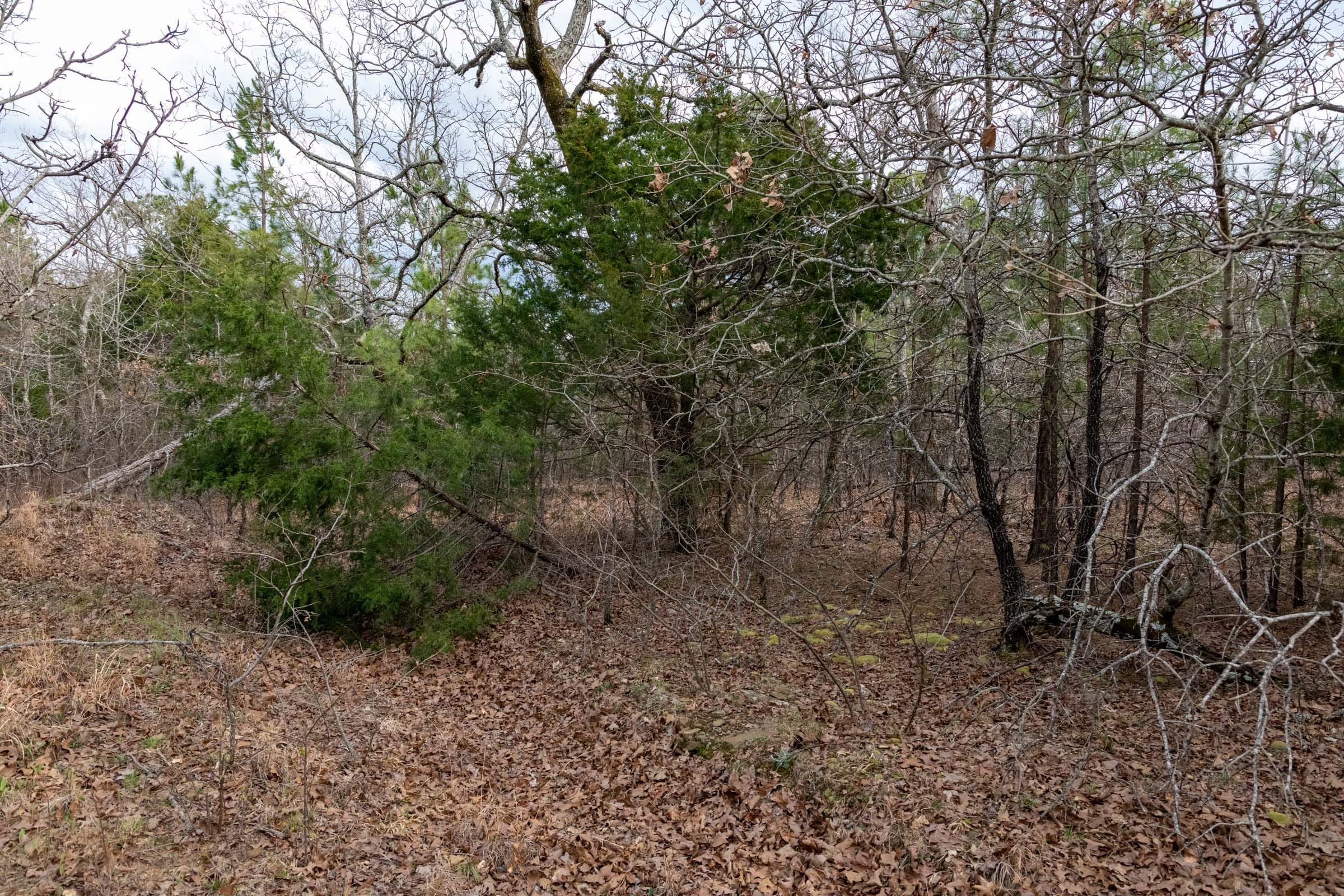 Stone Bridge Phase III Tract 180 photo 5