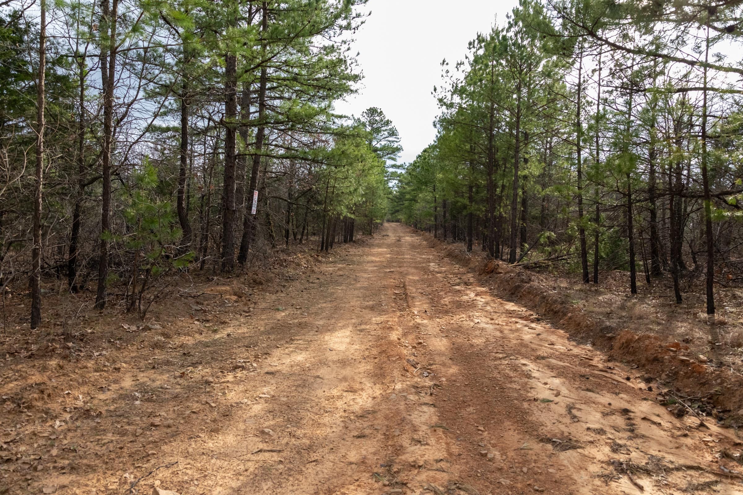 Stone Bridge Phase III Tract 180 photo 1