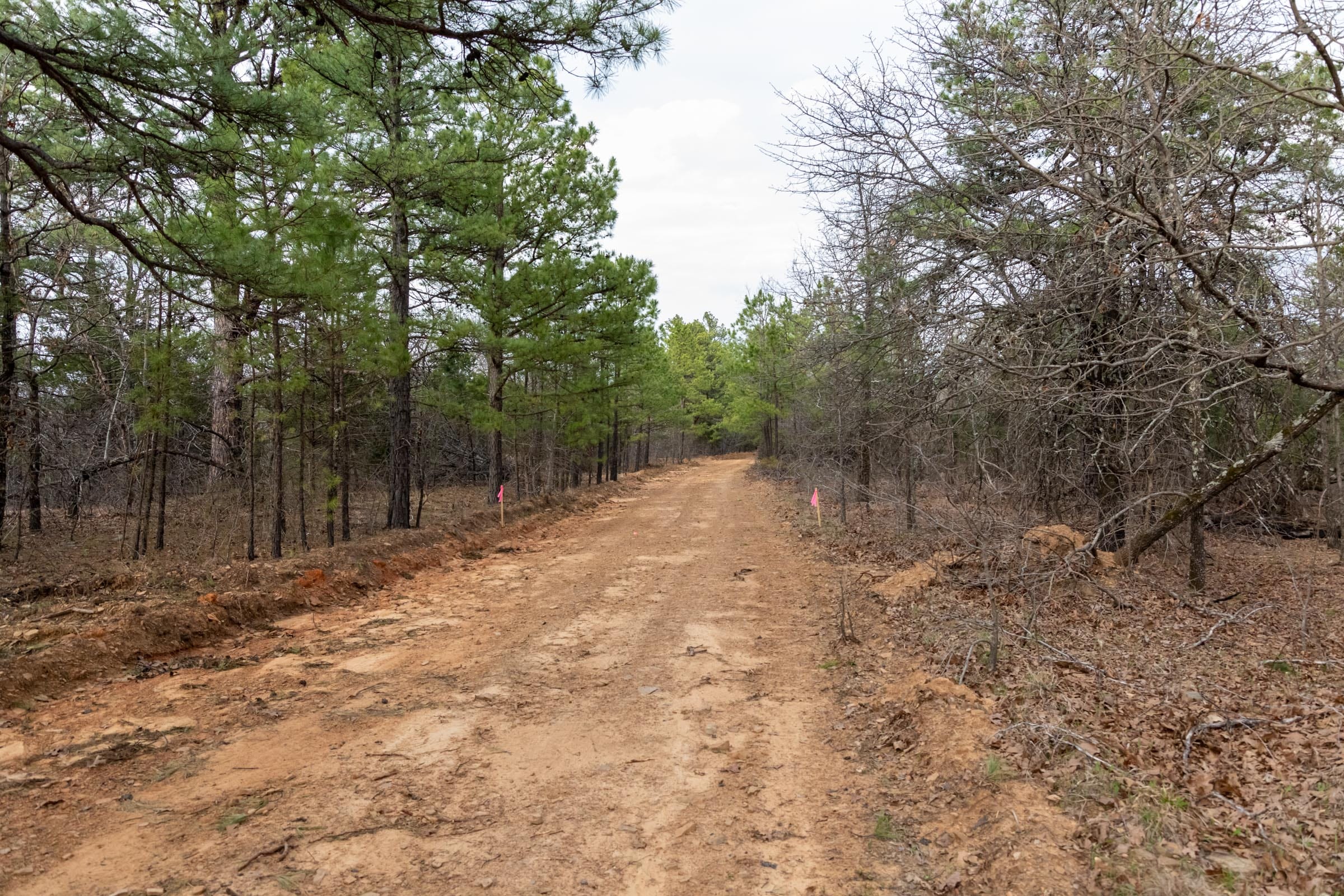Stone Bridge Phase III Tract 180 photo 6