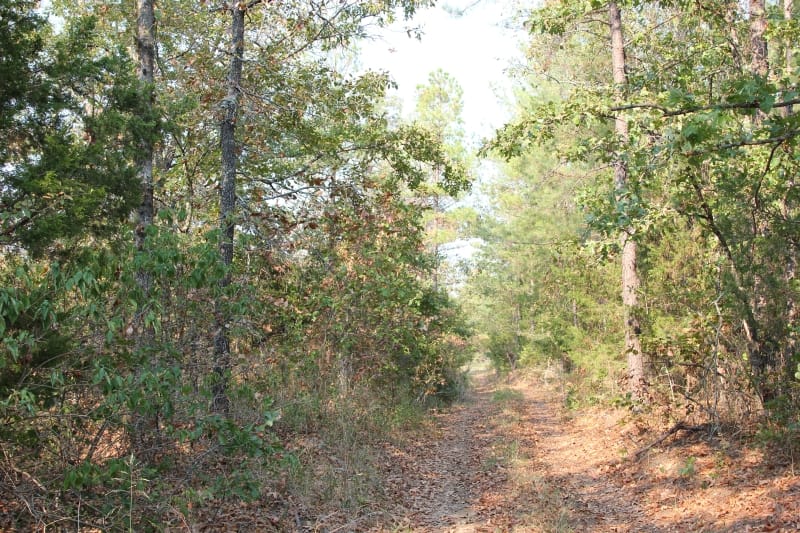 Lake View Ranch Tract 19 photo 1
