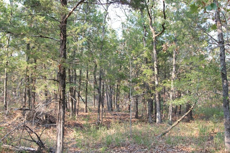 Lake View Ranch Tract 19 photo 3