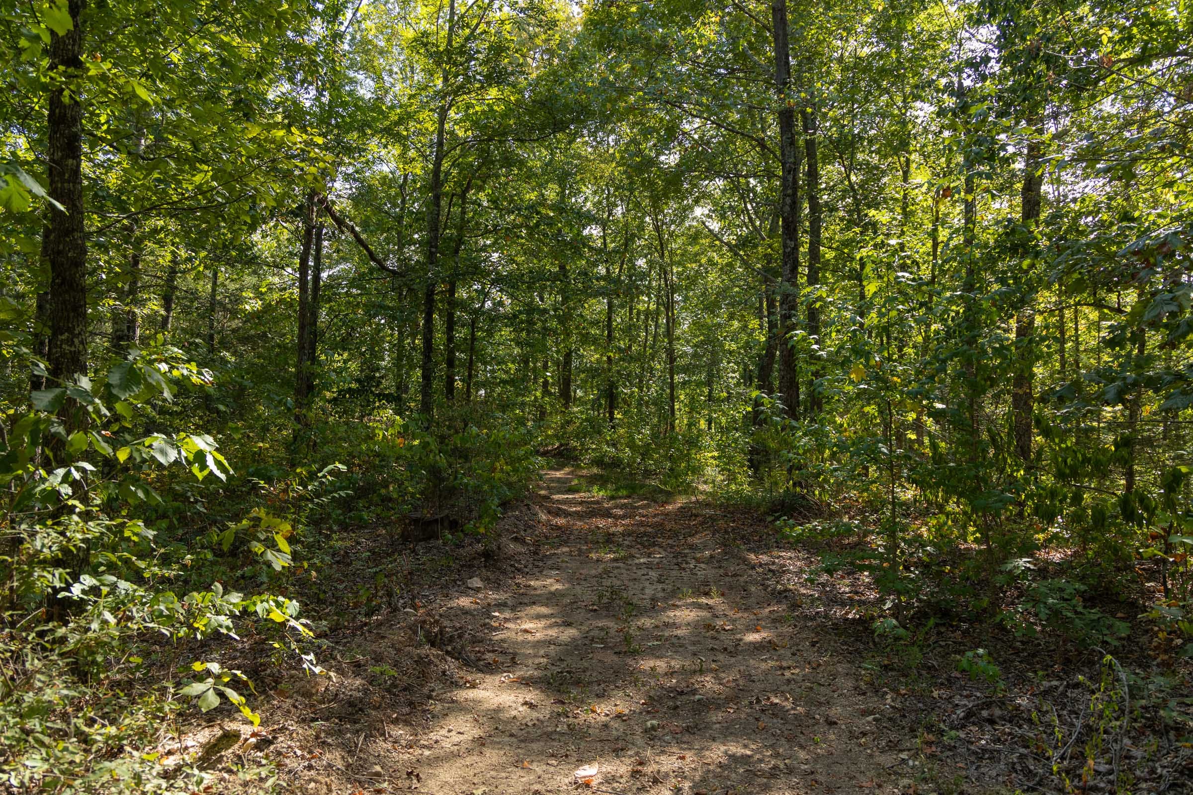 Big White Oak Tract 151 photo 11
