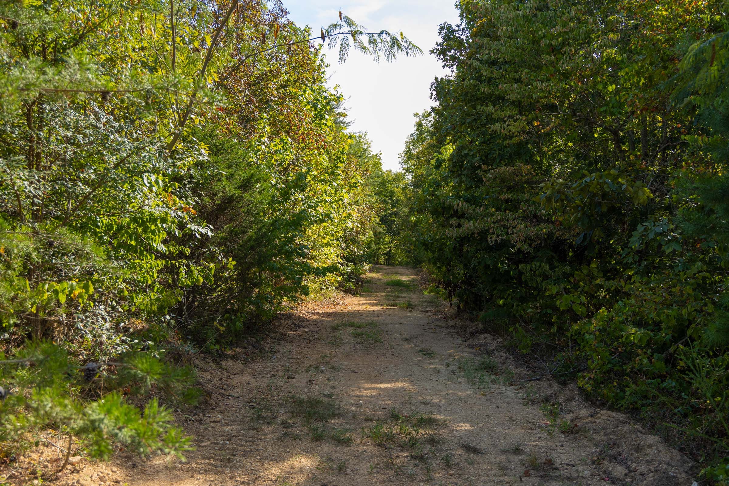 Big White Oak Tract 151 photo 1