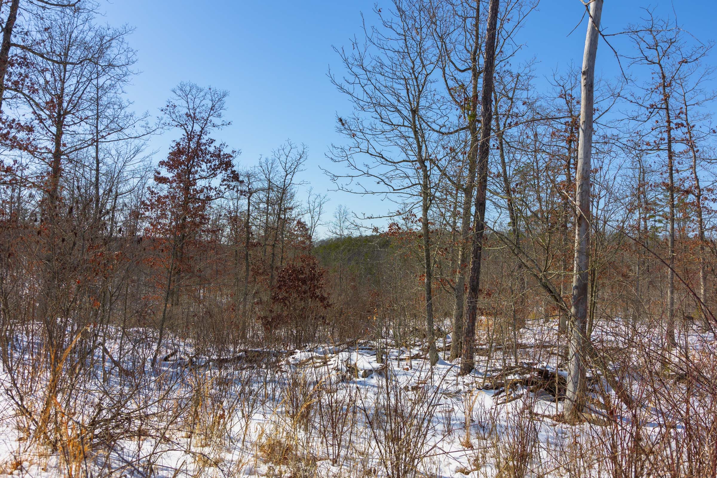 Sleepy Hollow Phase I Tract 2 photo 7