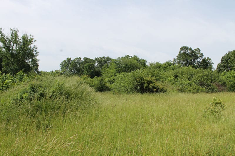 Cedar Ridge Ranch Tract 8 photo 1
