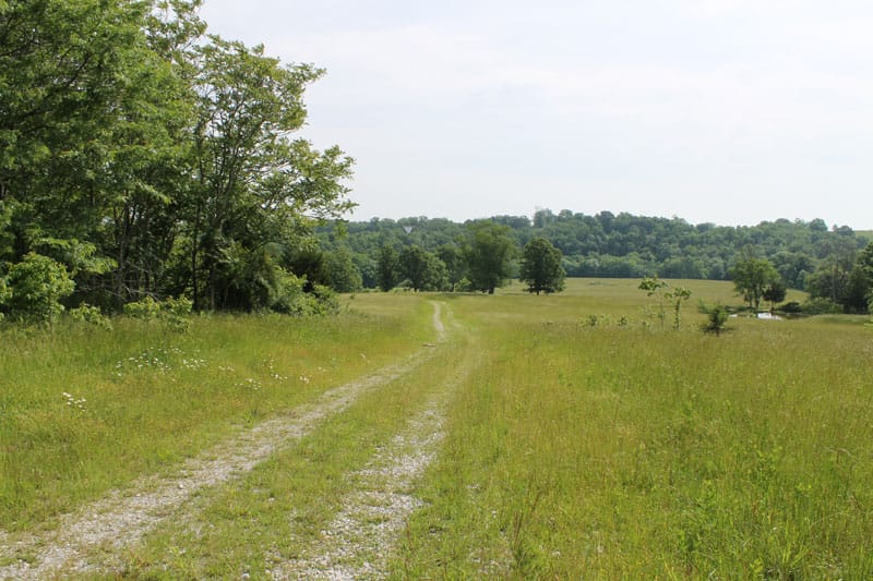 Cedar Ridge Ranch Tract 8 photo 2