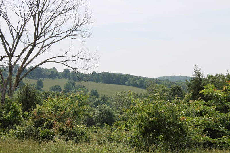 Cedar Ridge Ranch Tract 8 photo 4