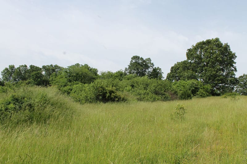 Cedar Ridge Ranch Tract 8 photo 7