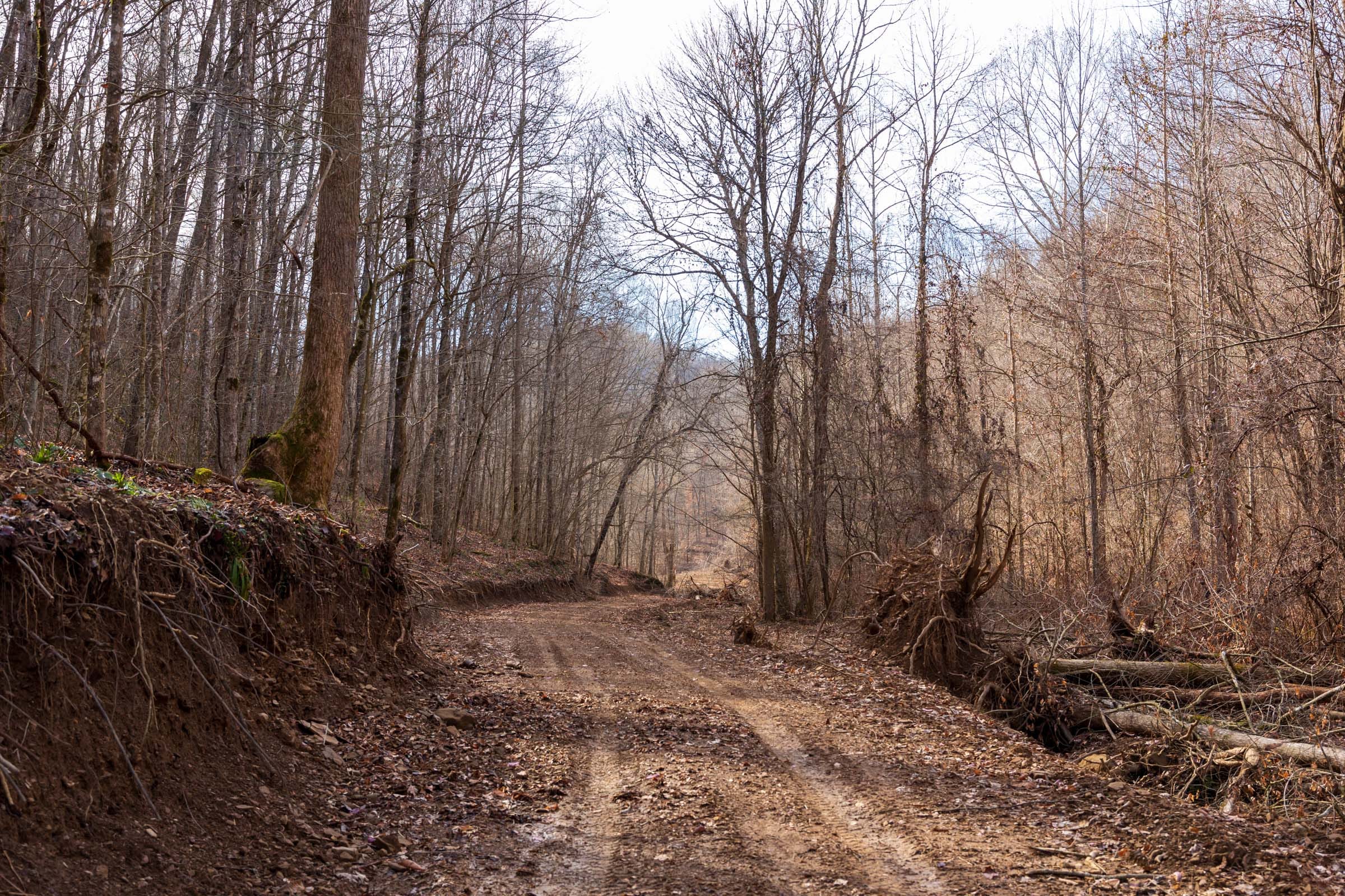 Blackstone Mountain Phase II Tract 59 photo 1