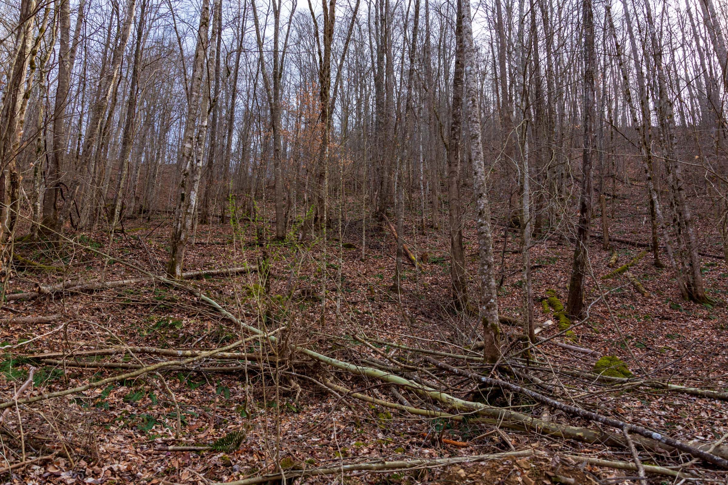 Blackstone Mountain Phase II Tract 59 photo 6