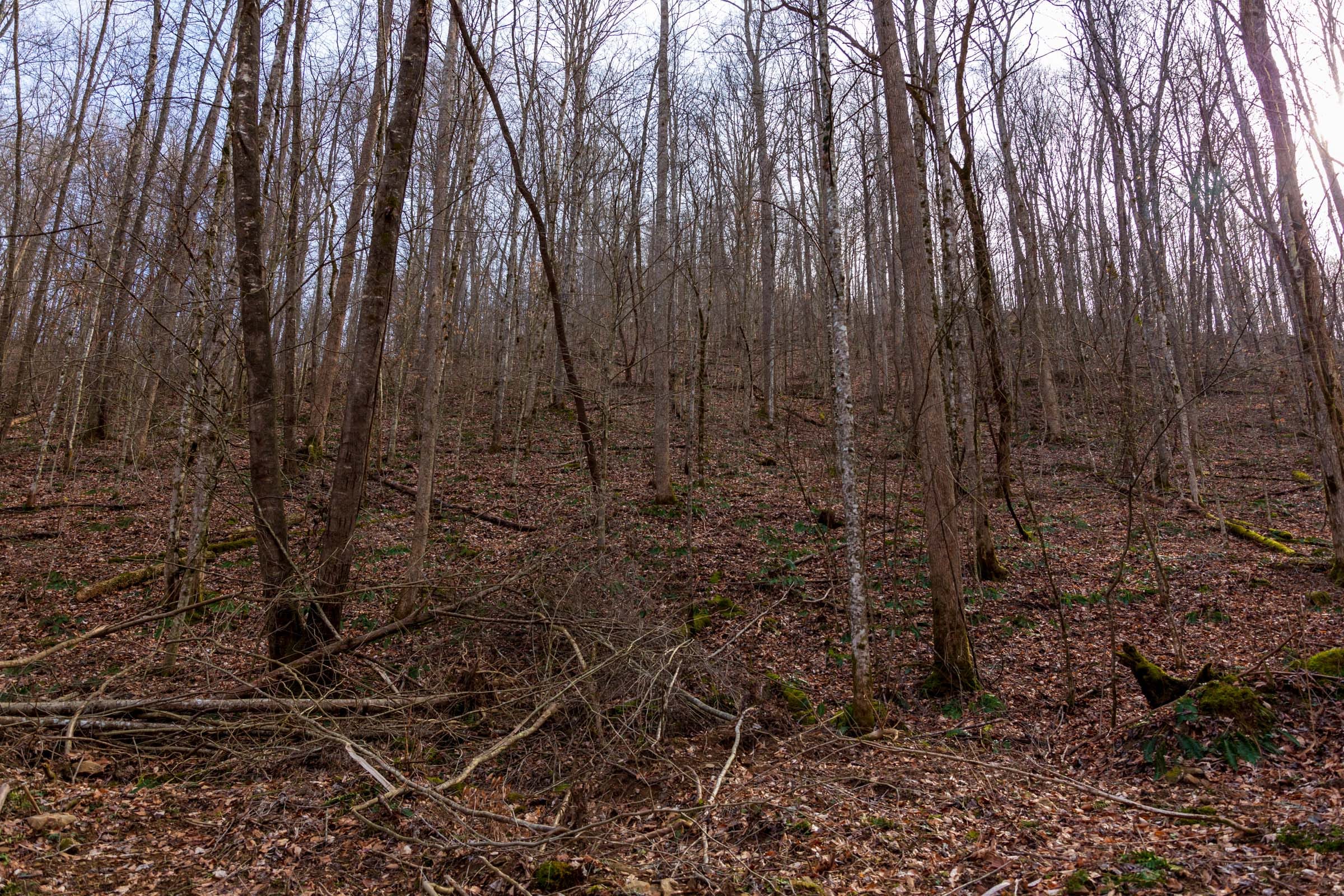 Blackstone Mountain Phase II Tract 59 photo 7