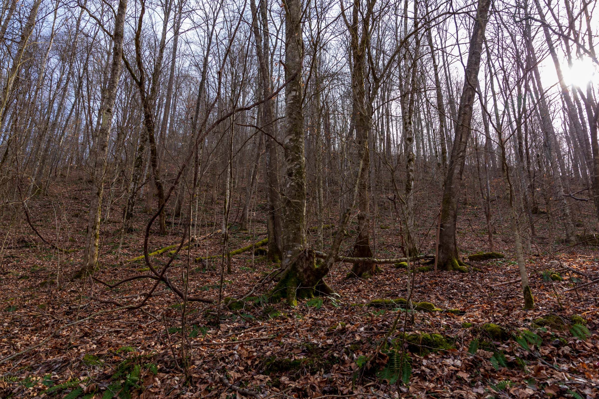 Blackstone Mountain Phase II Tract 59 photo 11