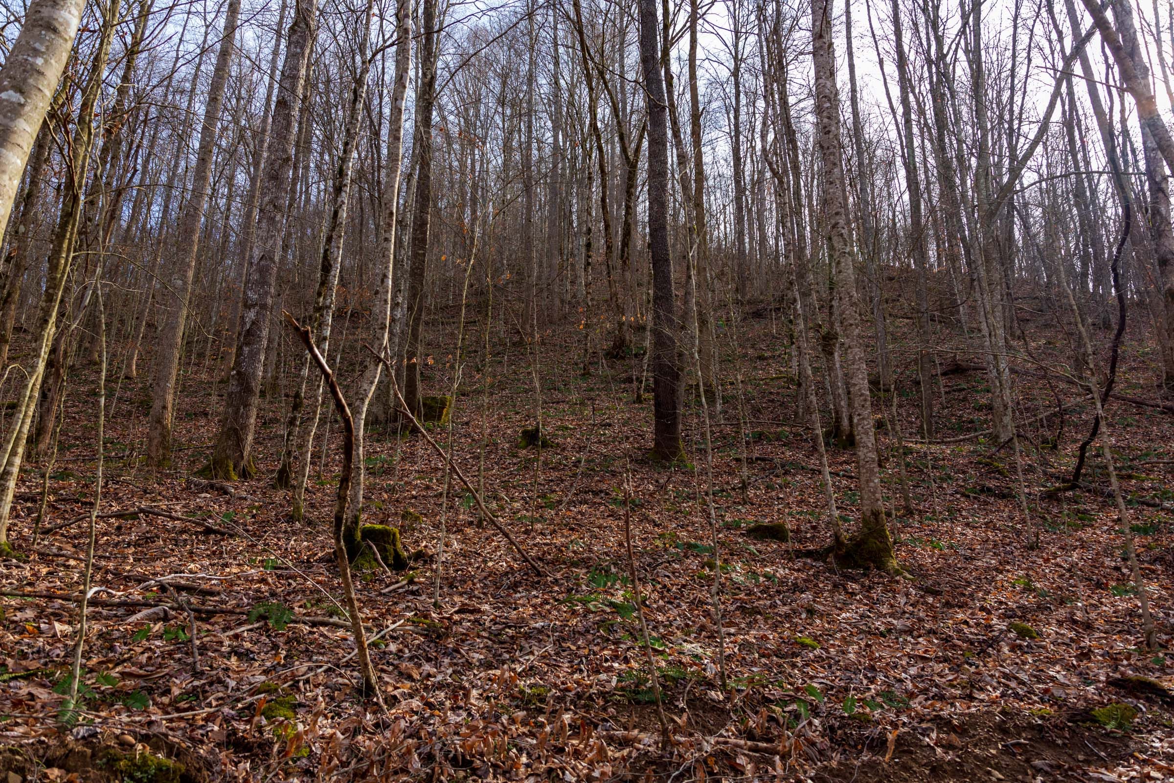 Blackstone Mountain Phase II Tract 59 photo 12