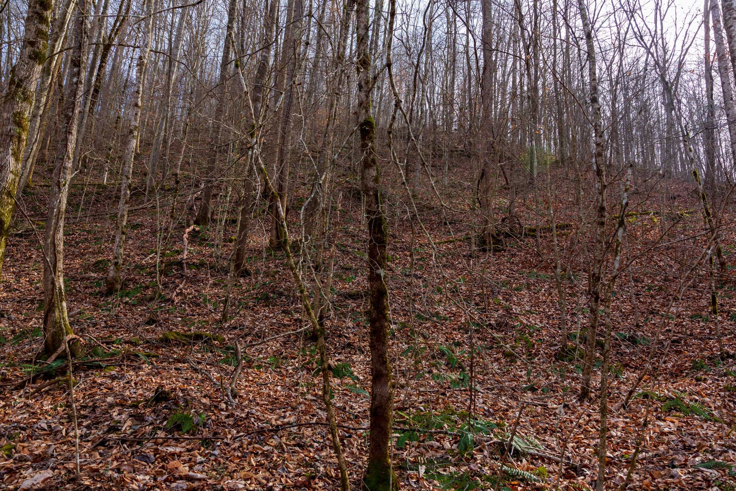 Blackstone Mountain Phase II Tract 59 photo 13