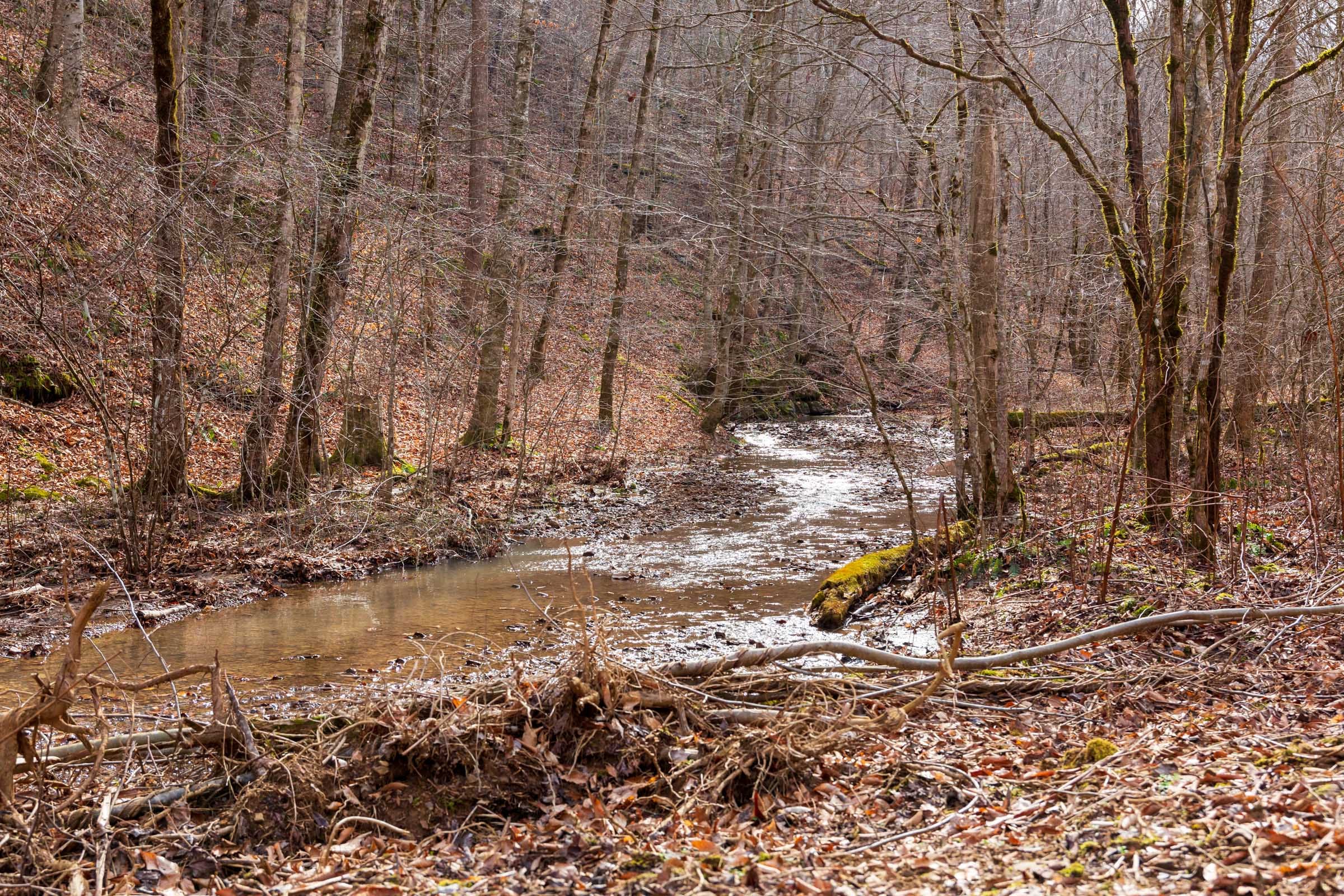 Blackstone Mountain Phase II Tract 59 photo 3
