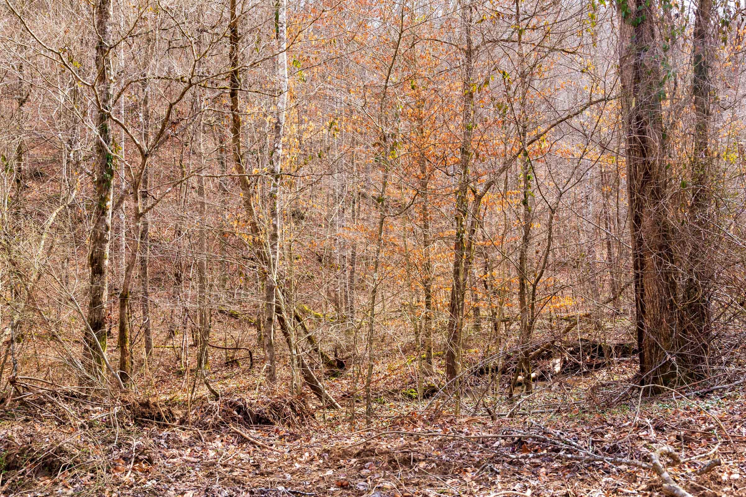 Blackstone Mountain Phase II Tract 59 photo 14