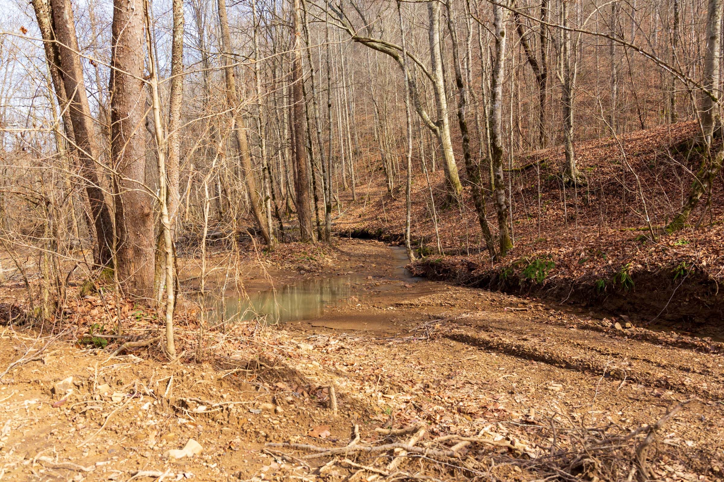 Blackstone Mountain Phase II Tract 59 photo 10
