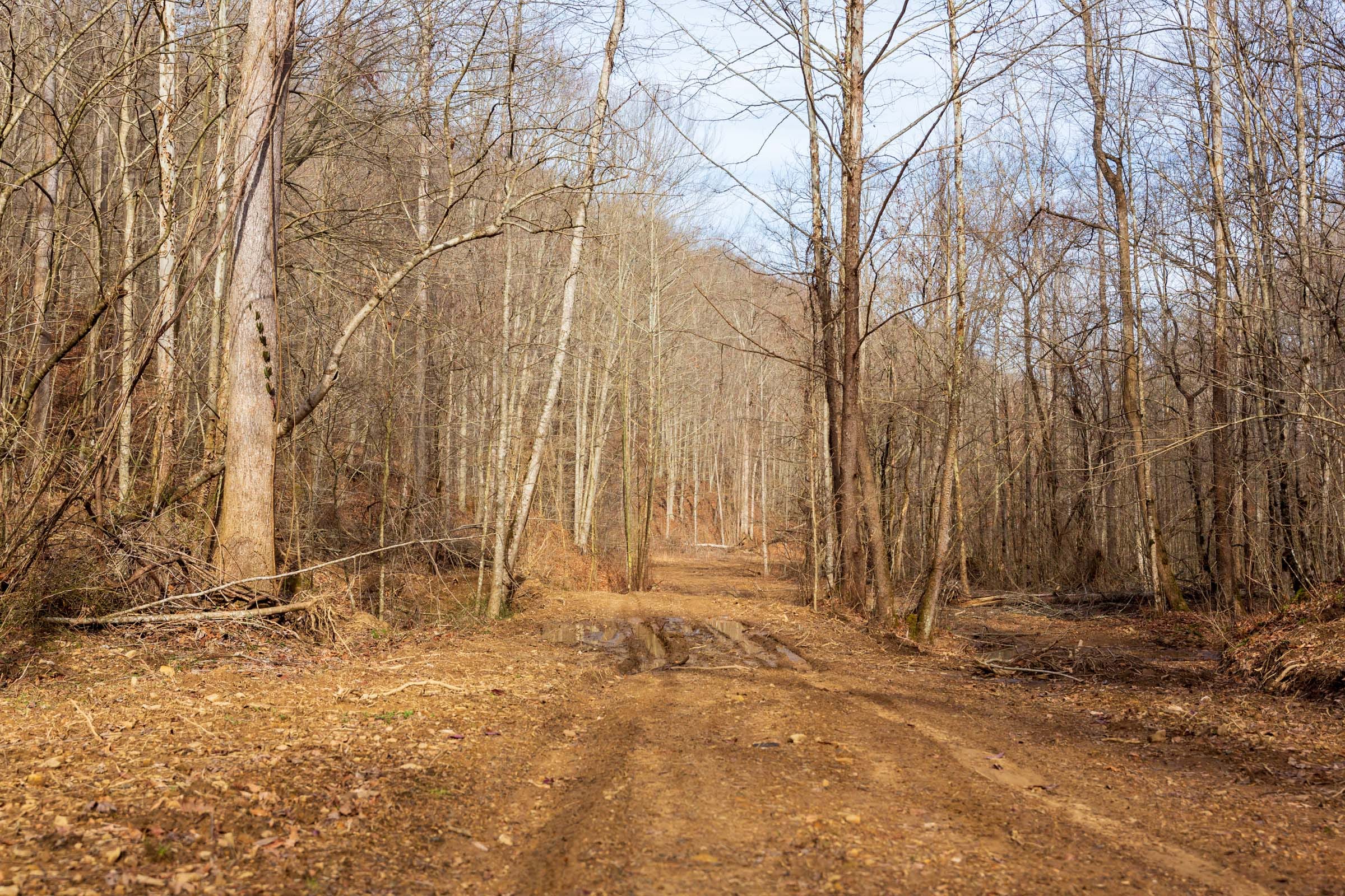 Blackstone Mountain Phase II Tract 59 photo 8