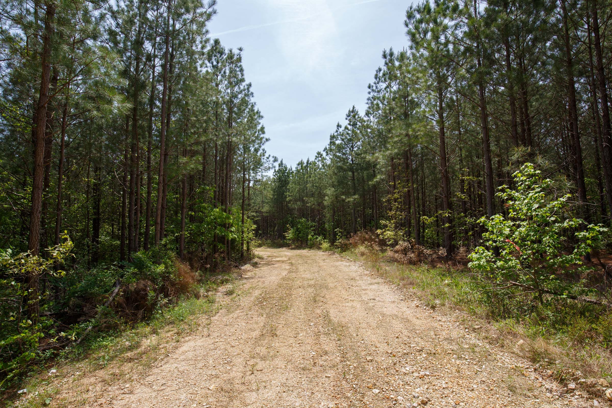 Red Barn Ranch Tract 58 photo 1