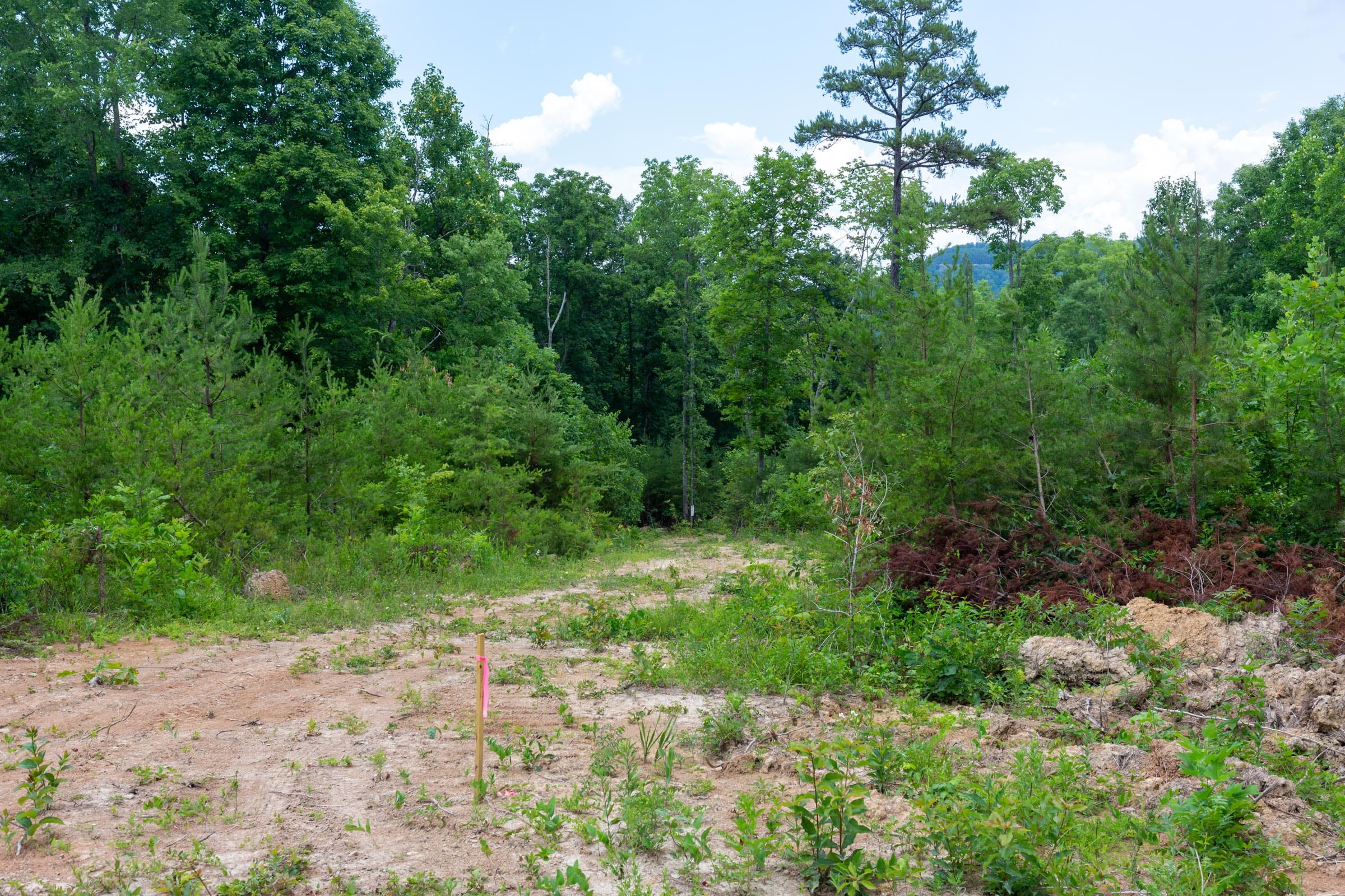Tucker Hollow Tract 9 photo 16
